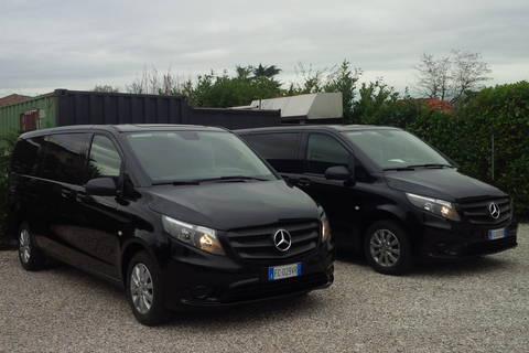 Privat transfer: Venedigs flygplats till Venedig Mestre