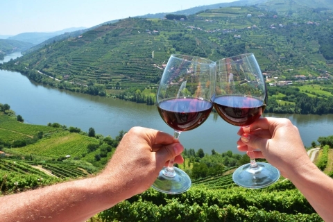 Valle del Duero: tour privado de vino de día completo con almuerzoValle del Duero: día completo privado Wine Tour con almuerzo