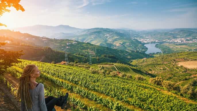 douro valley fullday wine tour with lunch and tastings