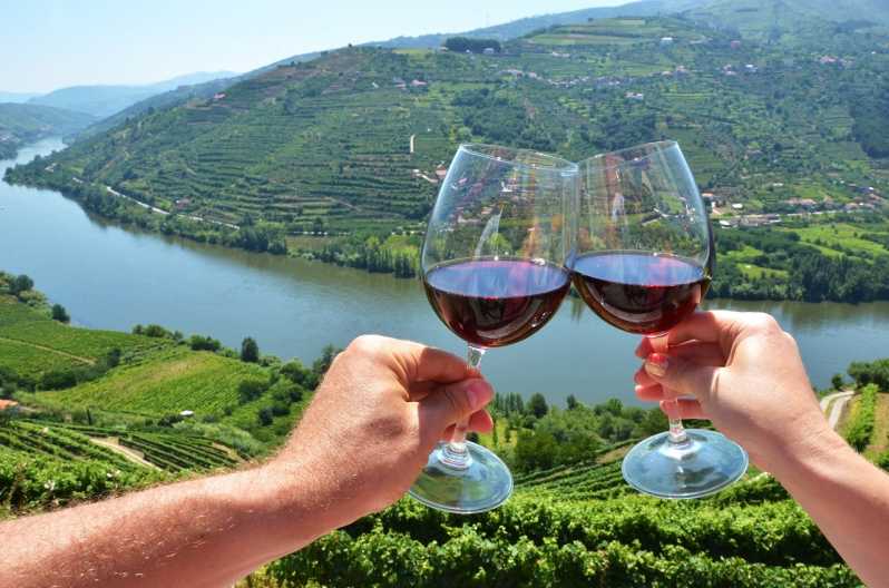 douro river cruise and wine tasting