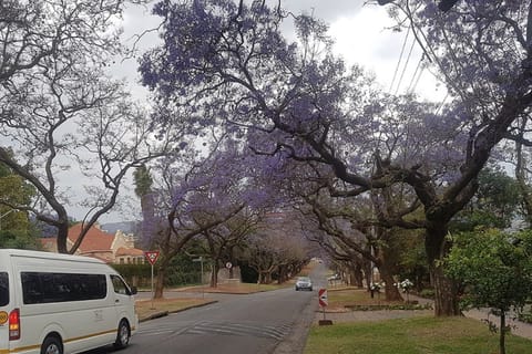 From Johannesburg Airport: 1-Way Transfer with Pretoria Tour