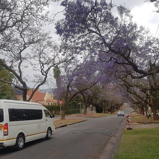 From Johannesburg Airport: 1-Way Transfer with Pretoria Tour