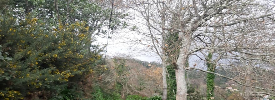 Madère : Marche privée de Levada Serra do Faial à Camacha