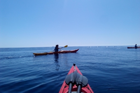 Ibiza: excursion de 3 heures en kayak sur les falaises avec plongée en apnéeIbiza : 3 heures de kayak sur la falaise avec plongée en apnée