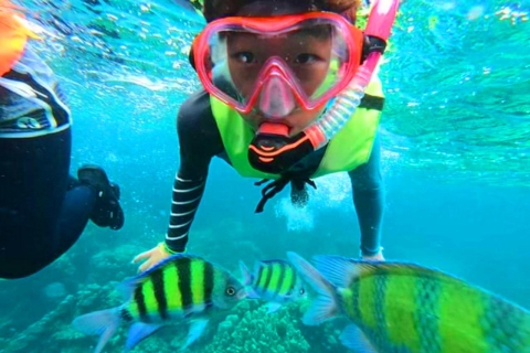 Krabi: Koh Rok i Koh Haa Hidden Snorkeling Tour łodzią motorowąKoh Rok i Koh Haa: Wycieczka łodzią motorową z nurkowaniem z ukrytymi klejnotami