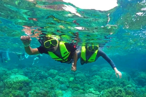 Krabi: Koh Rok & Koh Haa Hidden Snorkeling Tour by Speedboat Koh Rok & Koh Haa Hidden Gems Snorkeling Tour by Speedboat