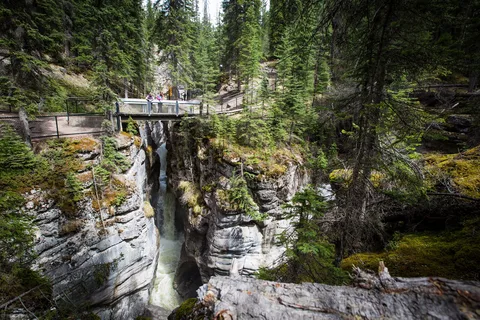 Jasper: Sightseeing Tour with Maligne Lake Cruise