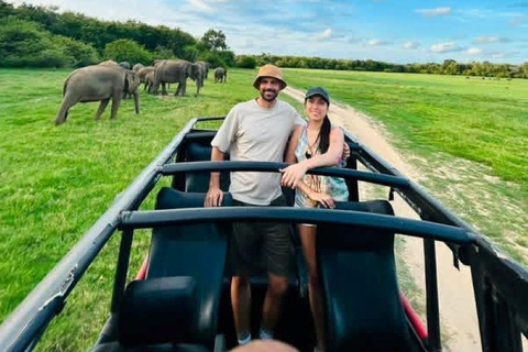 From Colombo/Negombo: Wilpattu Safari & Sigiriya Transfer Morning Session