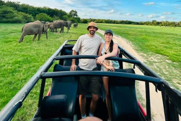 From Colombo/Negombo: Wilpattu Safari & Sigiriya Transfer Morning Session