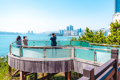 Busan: Spring Cherry Blossom & Gyeongju Highlights Day Tour