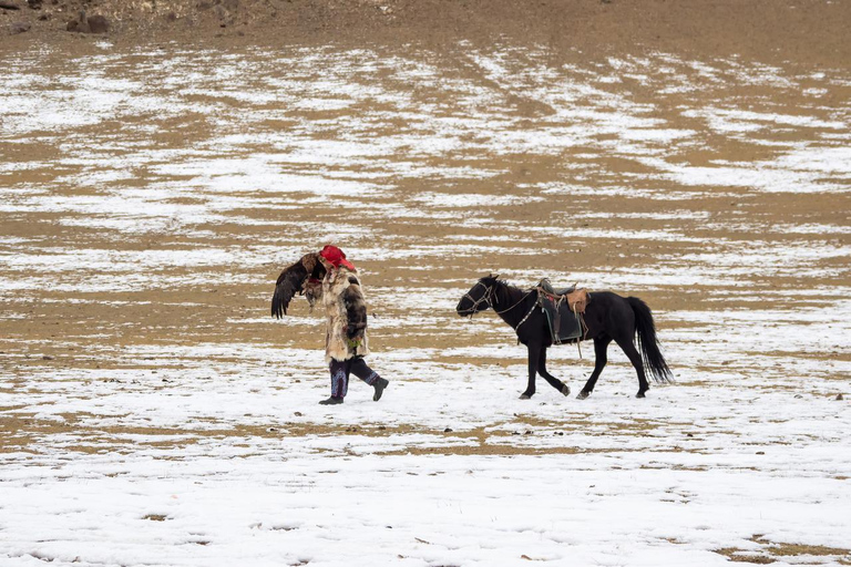 Mongolia: Terelj National Park Horseback Ride