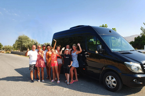 Rhodes Town and Lindos: Private Minibus Tour 1-3 Persons Group
