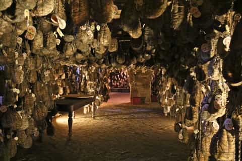 Parma: Parmesan, Culatello di Zibello, and Giuseppe Verdi