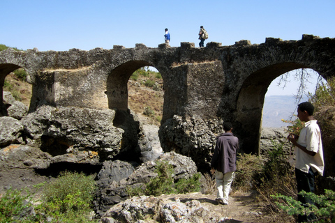 Addis Abeba: Klöster, Wildtiere und Wanderungen Privater Tagesausflug