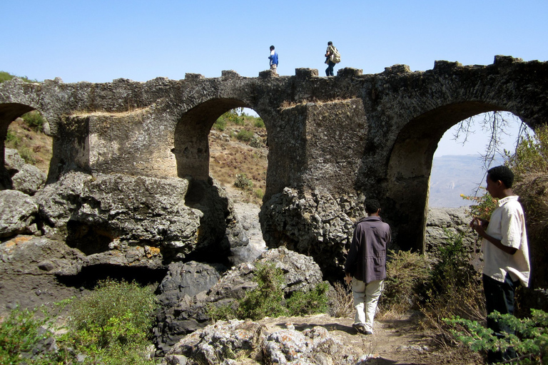 Addis Abeba: Kloster, djurliv och vandring Privat dagsutflykt