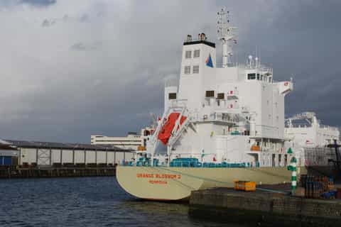 rotterdam 2hour harbor cruise