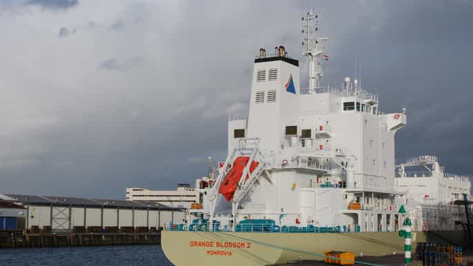 rotterdam 2hour harbor cruise