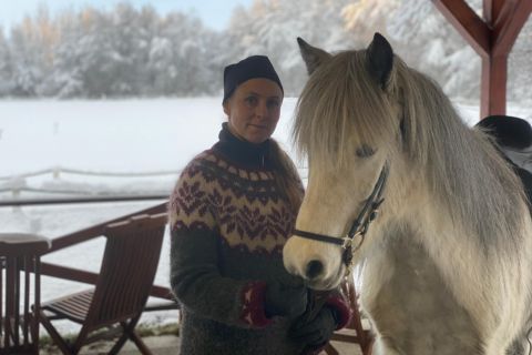 Fridheimar: Icelandic Horse Stable Visit and 5-Gait Demo
