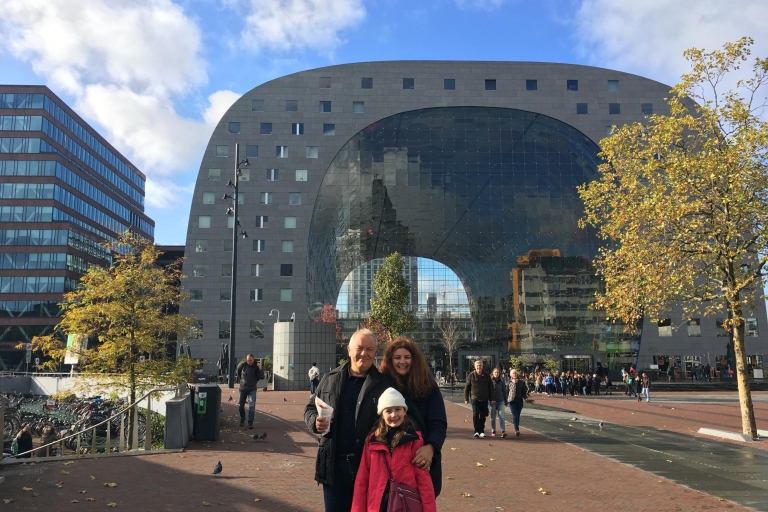 Rotterdam: grootse rondwandeling van 2 uur