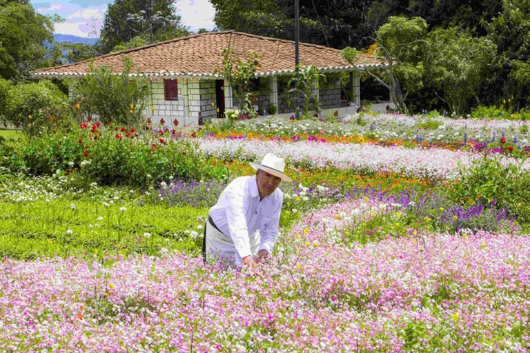 Depuis Medellín : Visite privée d'une journée dans une ferme de fleurs colombiennes
