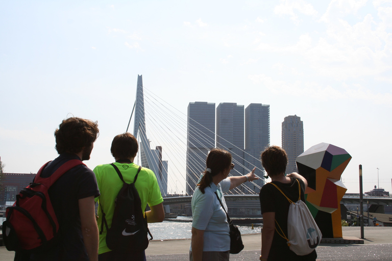 Rotterdam: Architectural Highlights Guided Walking TourGroup Tour