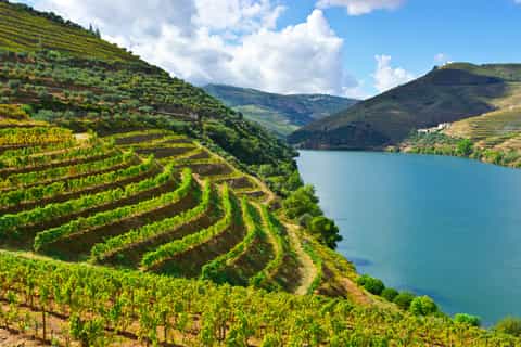 Do Porto: Vale do Douro, Degustação de Vinhos e Cruzeiro