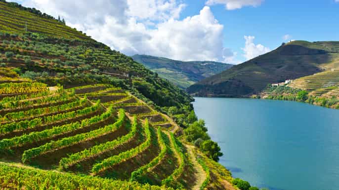 valle del douro tour con degustazione di vini e crociera