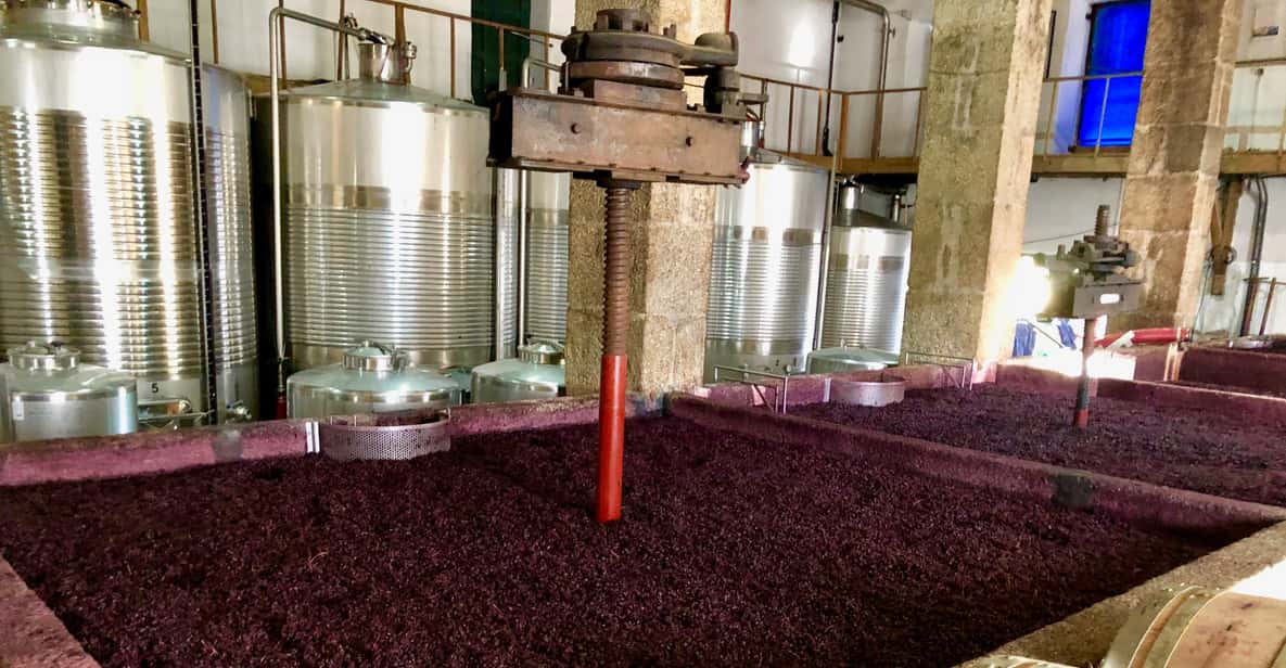 Porto: Douro Valley Tour with Wine Tasting, Cruise and Lunch