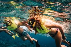 Aruba: experiência de vela e mergulho com bebidas