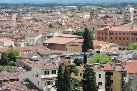 Pisa: tour panoramico a piediPisa: giro turistico a piedi