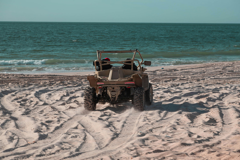 Saint Lucia: Horseback Ride and Off-Road Buggy Adventure
