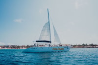 Palm Beach, Champagne Brunch e Aqua Safari - Hizvo