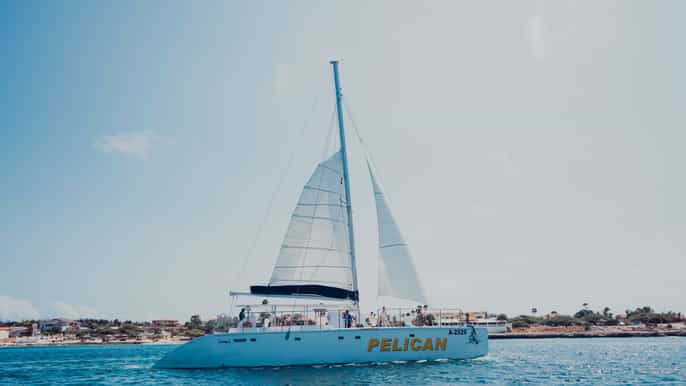 palm beach champagne brunch and aqua safari