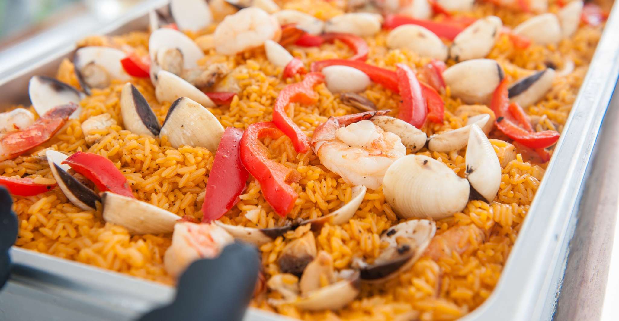 Palm Beach, Champagne Brunch e Aqua Safari - Hizvo