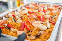 Palm Beach, Champagne Brunch e Aqua Safari - Hizvo