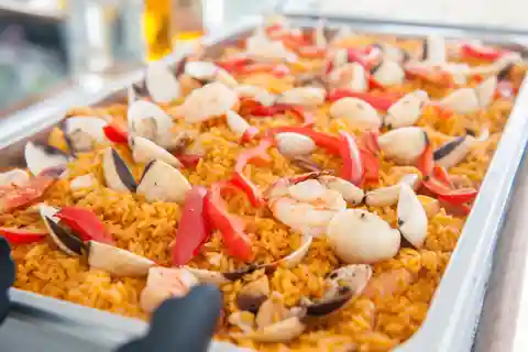 Palm Beach: Champagne Brunch and Aqua Safari