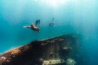 Palm Beach, Champagne Brunch e Aqua Safari - Hizvo