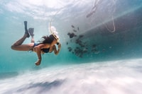 Palm Beach, Champagne Brunch e Aqua Safari - Hizvo