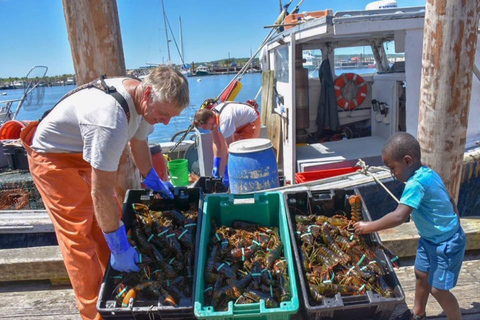 Boston: Kennebunkport Day Trip with Optional Lobster Tour Kennebunkport Day Trip