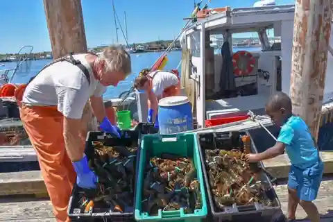 Boston: Kennebunkport Day Trip with Optional Lobster Tour
