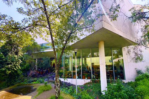 Cidade do México: Excursão a pé pelo campus da UNAM com guia