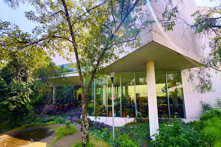 Cidade do México: Excursão a pé pelo campus da UNAM com guia