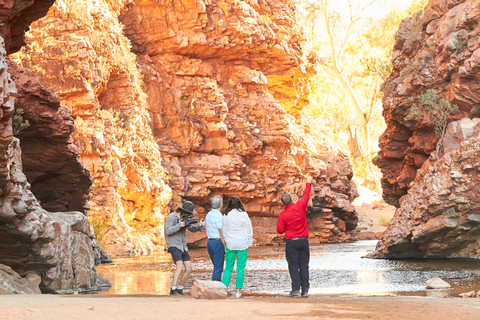 From Alice Springs: West MacDonnell Ranges Half Day Trip