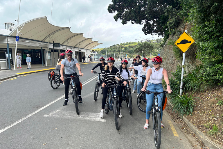 Waiheke Island: Elektrofahrradverleih