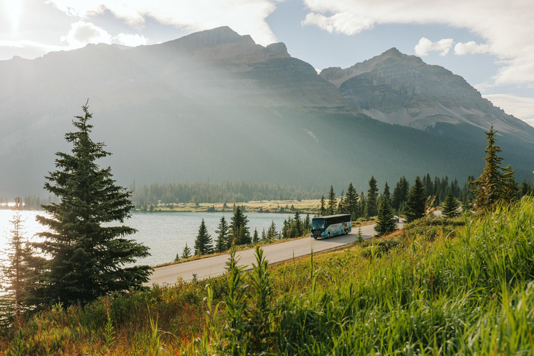 From Banff: Columbia Icefield Tour with Glacier Skywalk