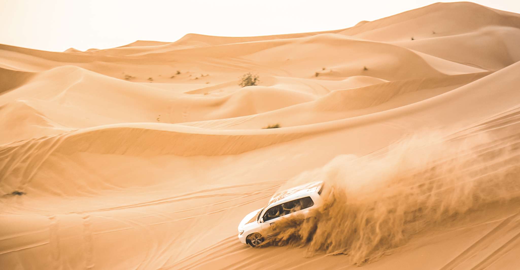 Doha: Half-Day Desert Safari, Quad Bike, Camels & Inland Sea photo 1