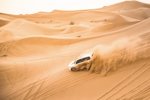 Doha: Desert Adventure, Dune Bashing Safari and Camel Ride