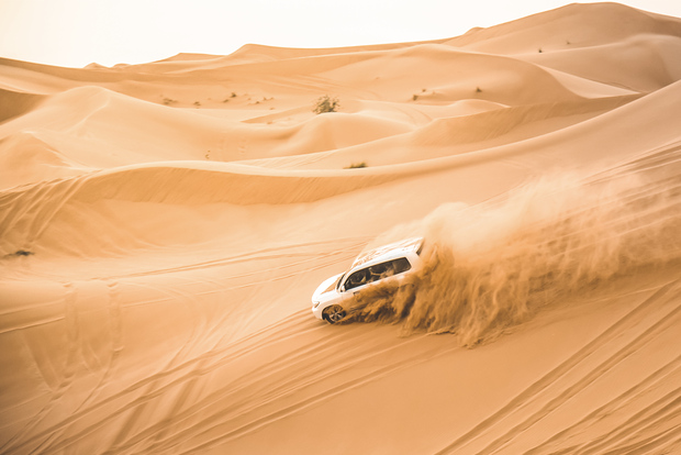 多哈野生动物园：Bash The Dunes，Camel Ride＆Sandboarding