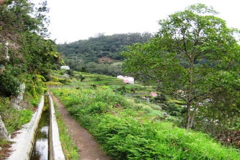 Madère : Randonnée privée de Levada do Caniçal à MachicoRamassage au sud-ouest de Madère