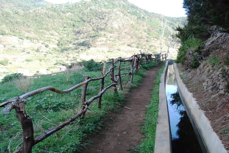 Madeira: privéwandeling van Levada do Caniçal naar MachicoOphalen van Funchal, Caniço, Camara de Lobos